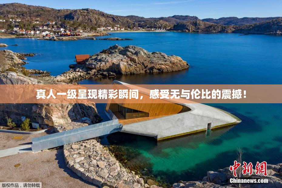 真人一级呈现精彩瞬间，感受无与伦比的震撼！