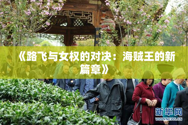 《路飞与女权的对决：海贼王的新篇章》