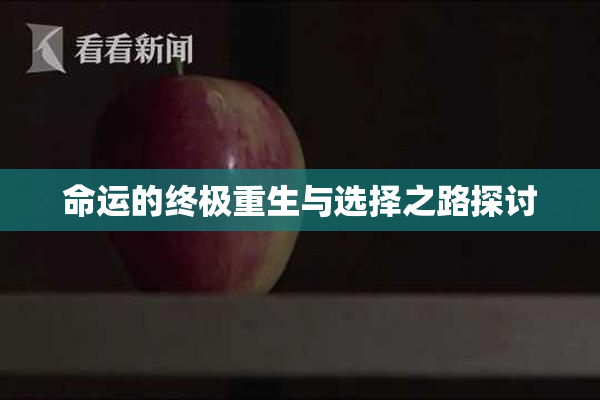 命运的终极重生与选择之路探讨
