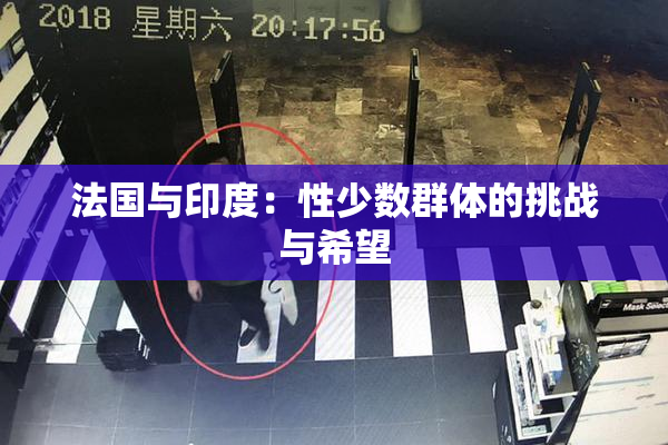 法国与印度：性少数群体的挑战与希望