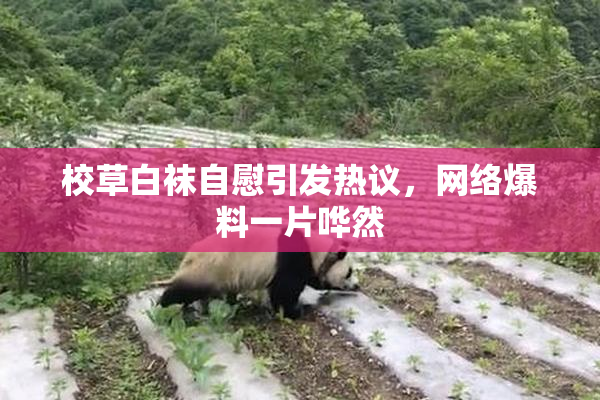 校草白袜自慰引发热议，网络爆料一片哗然