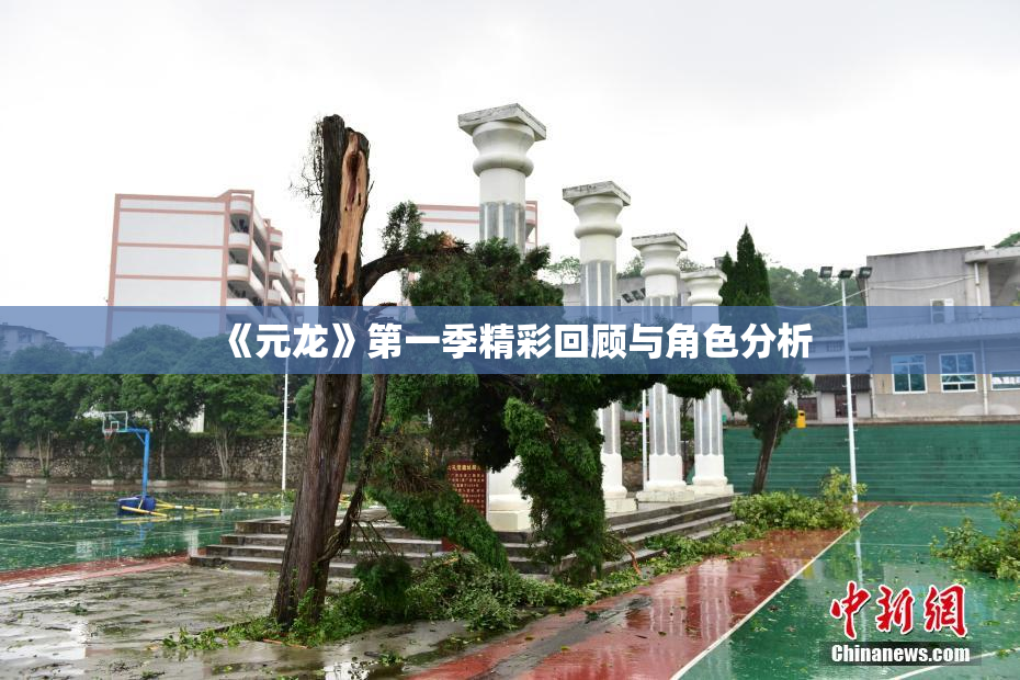 《元龙》第一季精彩回顾与角色分析
