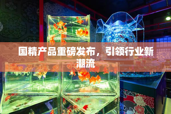 国精产品重磅发布，引领行业新潮流