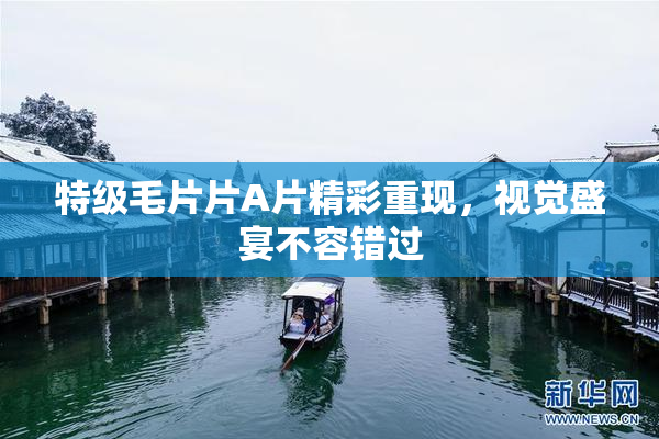 特级毛片片A片精彩重现，视觉盛宴不容错过