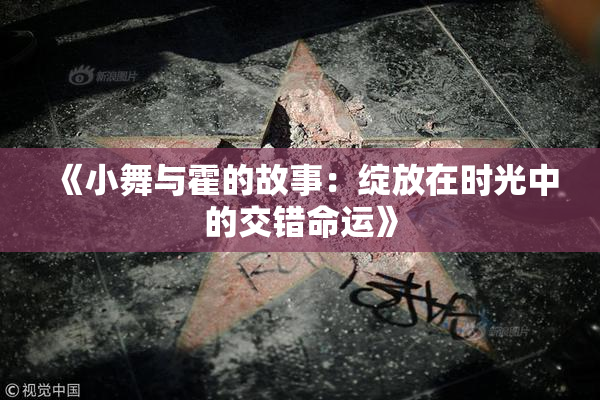 《小舞与霍的故事：绽放在时光中的交错命运》