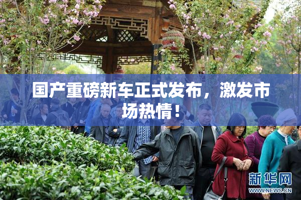 国产重磅新车正式发布，激发市场热情！