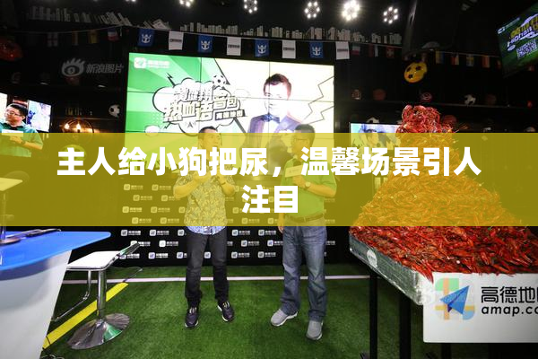 主人给小狗把尿，温馨场景引人注目