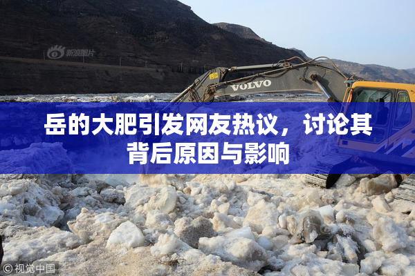 岳的大肥引发网友热议，讨论其背后原因与影响
