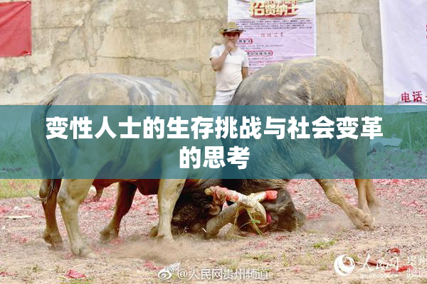 变性人士的生存挑战与社会变革的思考
