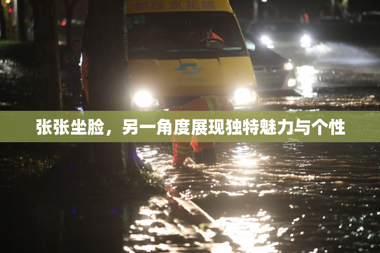 张张坐脸，另一角度展现独特魅力与个性