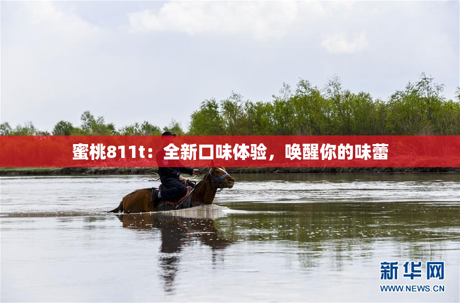蜜桃811t：全新口味体验，唤醒你的味蕾