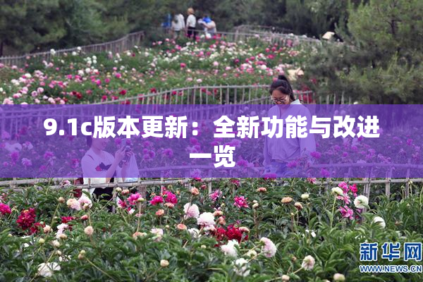 9.1c版本更新：全新功能与改进一览