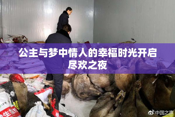 公主与梦中情人的幸福时光开启尽欢之夜