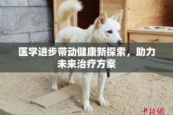 医学进步带动健康新探索，助力未来治疗方案