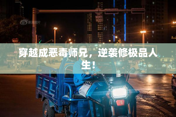 穿越成恶毒师兄，逆袭修极品人生！