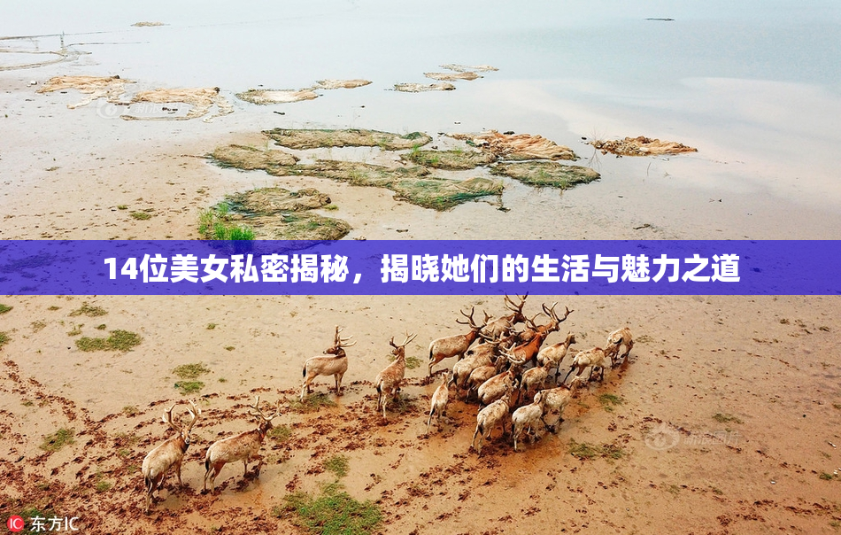 14位美女私密揭秘，揭晓她们的生活与魅力之道