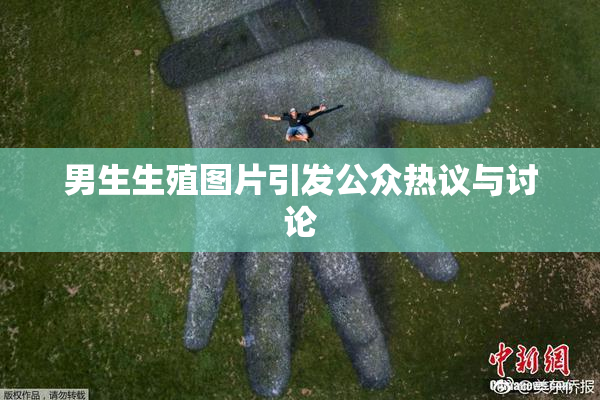 男生生殖图片引发公众热议与讨论