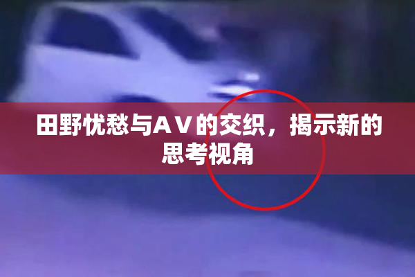 田野忧愁与AⅤ的交织，揭示新的思考视角
