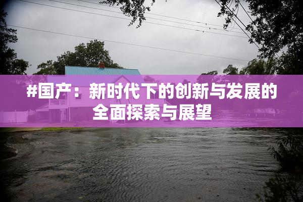 #国产：新时代下的创新与发展的全面探索与展望