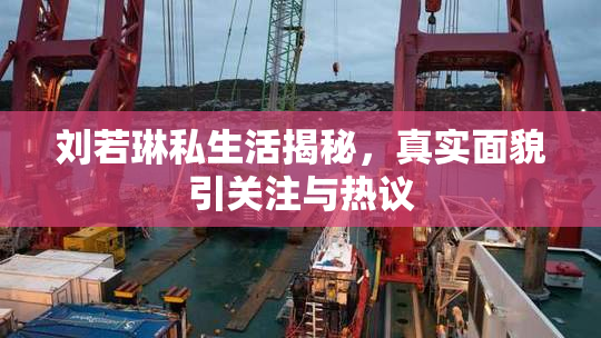 刘若琳私生活揭秘，真实面貌引关注与热议