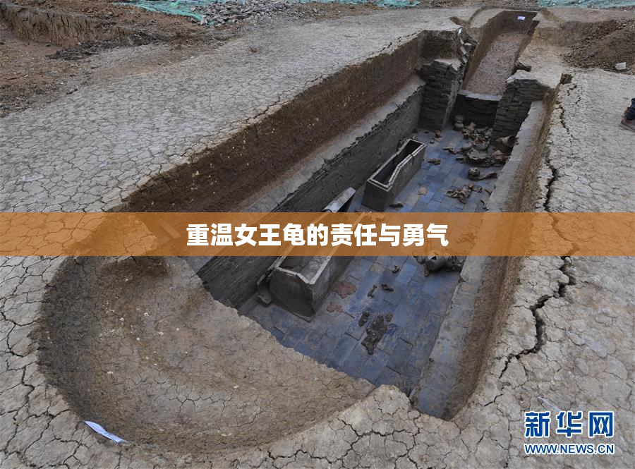 重温女王龟的责任与勇气