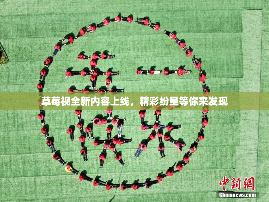 草莓视全新内容上线，精彩纷呈等你来发现