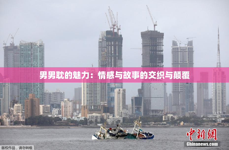 男男耽的魅力：情感与故事的交织与颠覆