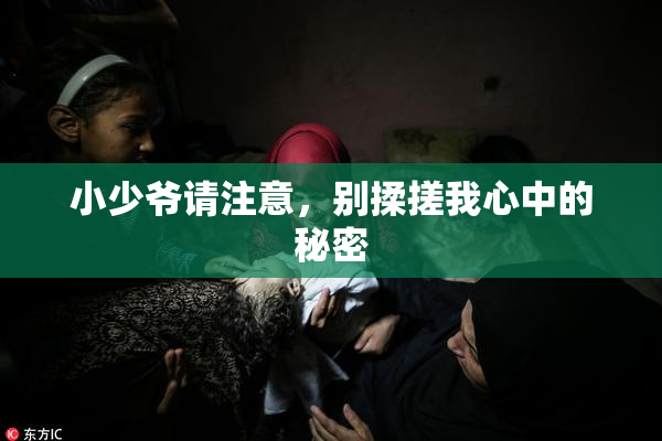 小少爷请注意，别揉搓我心中的秘密