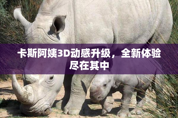 卡斯阿姨3D动感升级，全新体验尽在其中