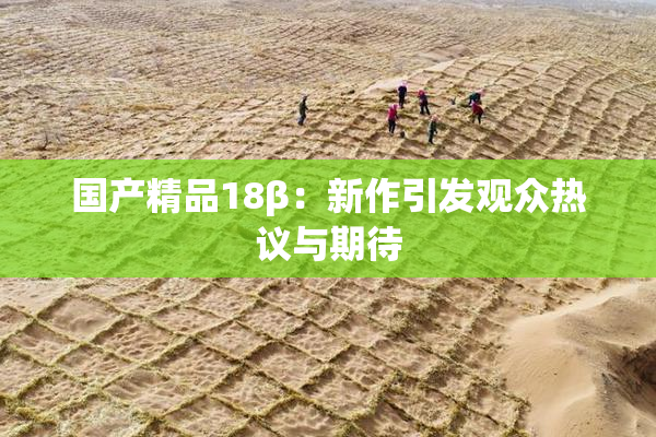 国产精品18β：新作引发观众热议与期待