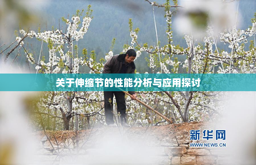 关于伸缩节的性能分析与应用探讨