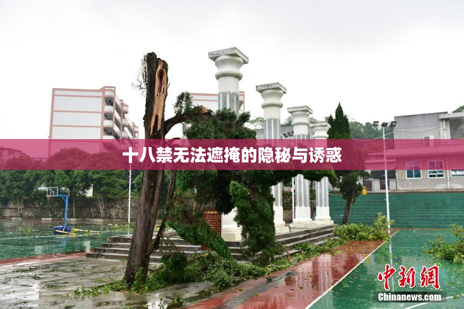 十八禁无法遮掩的隐秘与诱惑