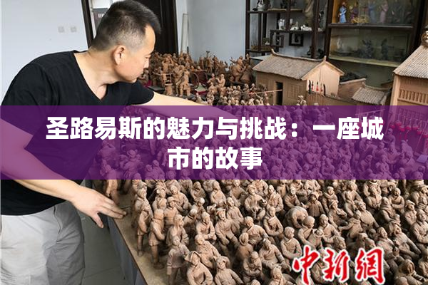 圣路易斯的魅力与挑战：一座城市的故事