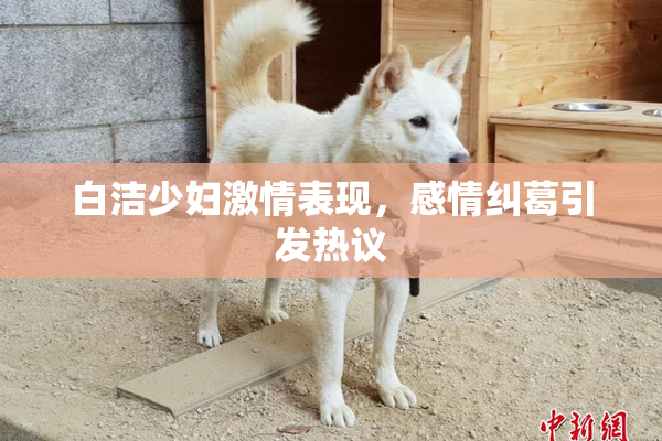 白洁少妇激情表现，感情纠葛引发热议