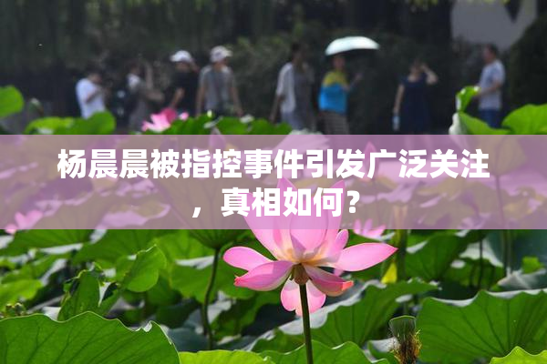 杨晨晨被指控事件引发广泛关注，真相如何？