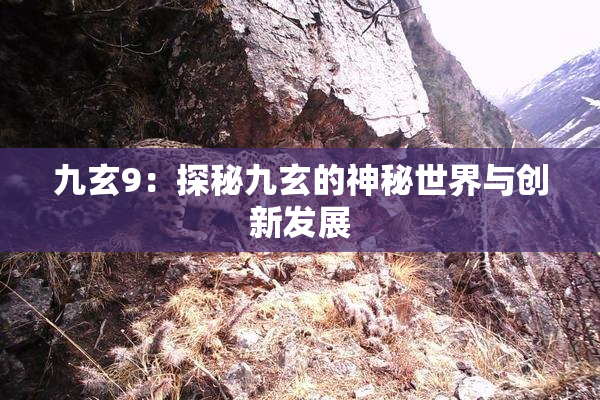 九玄9：探秘九玄的神秘世界与创新发展
