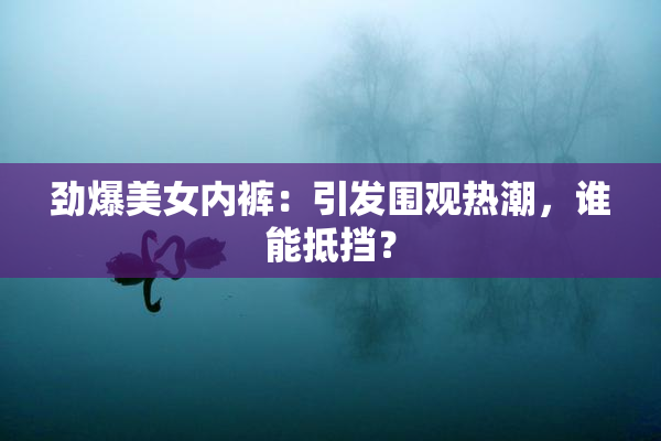 劲爆美女内裤：引发围观热潮，谁能抵挡？