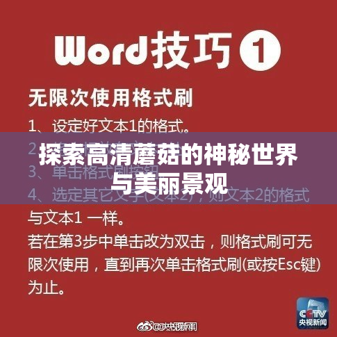 探索高清蘑菇的神秘世界与美丽景观
