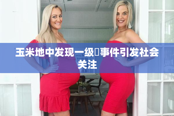 玉米地中发现一级婬事件引发社会关注