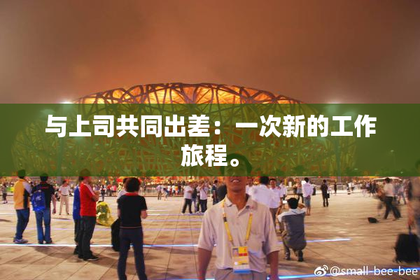 与上司共同出差：一次新的工作旅程。