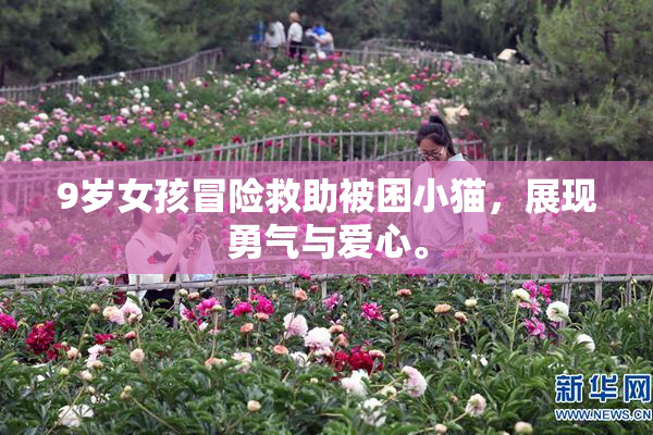 9岁女孩冒险救助被困小猫，展现勇气与爱心。