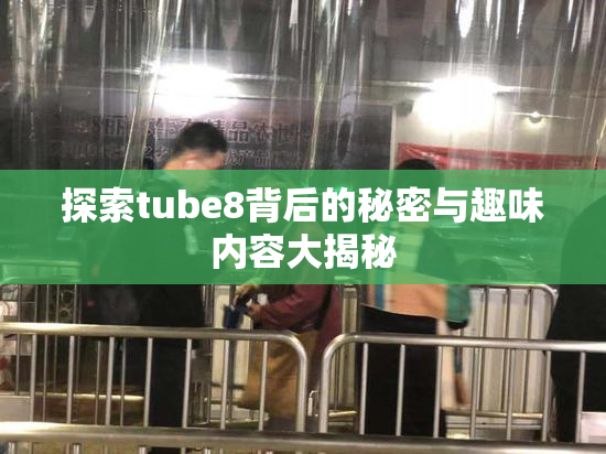 探索tube8背后的秘密与趣味内容大揭秘