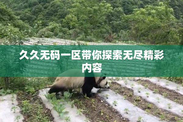 久久无码一区带你探索无尽精彩内容