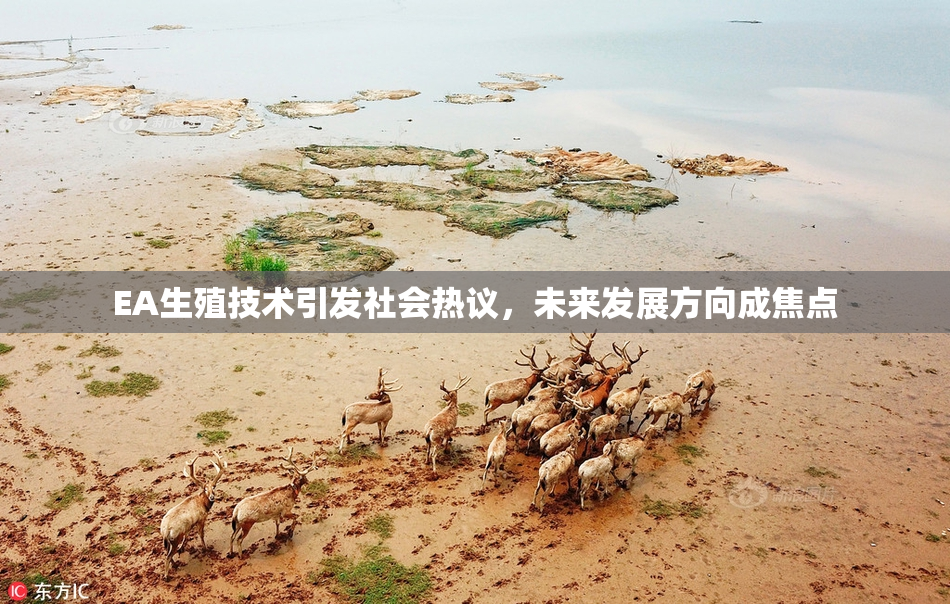 EA生殖技术引发社会热议，未来发展方向成焦点