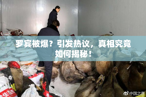 罗宾被爆？引发热议，真相究竟如何揭秘！