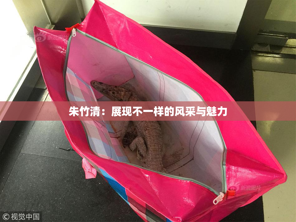 朱竹清：展现不一样的风采与魅力