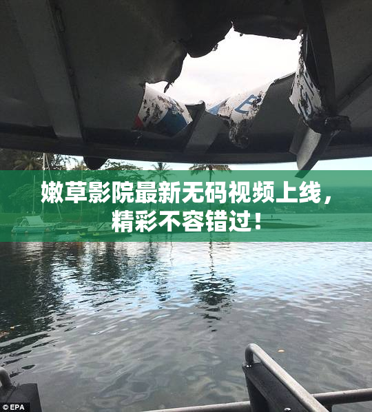 嫩草影院最新无码视频上线，精彩不容错过！