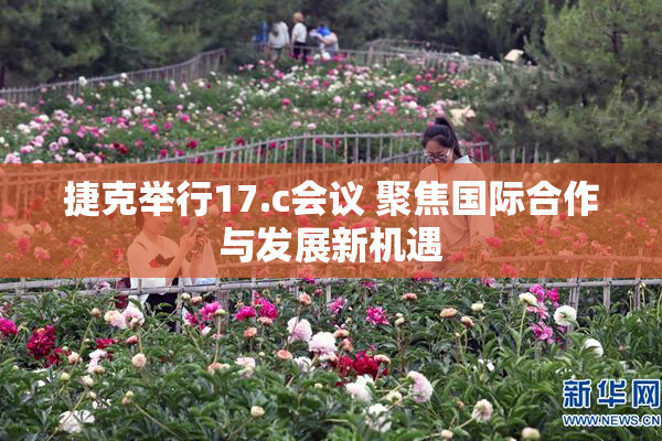 捷克举行17.c会议 聚焦国际合作与发展新机遇