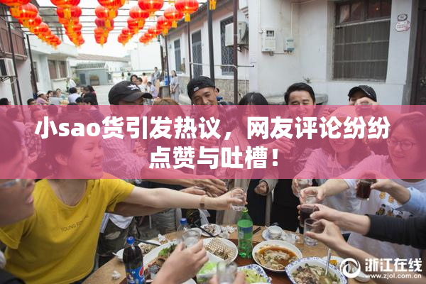 小sao货引发热议，网友评论纷纷点赞与吐槽！