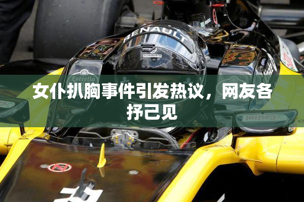 女仆扒胸事件引发热议，网友各抒己见